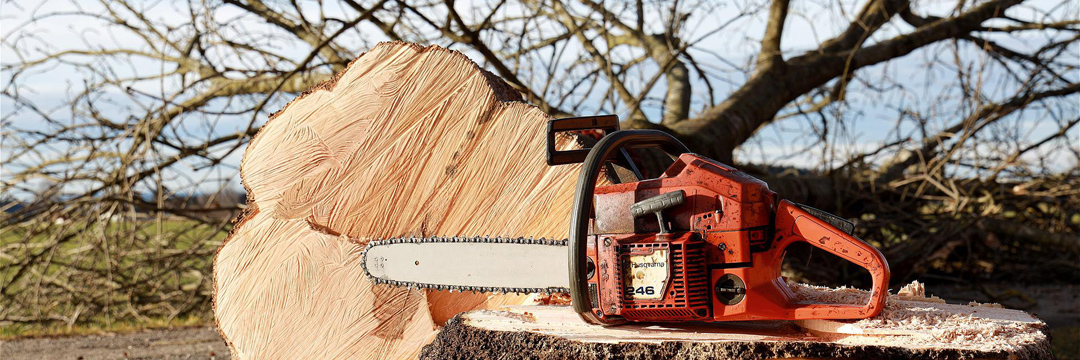 Fäll- / Rodungensarbeiten